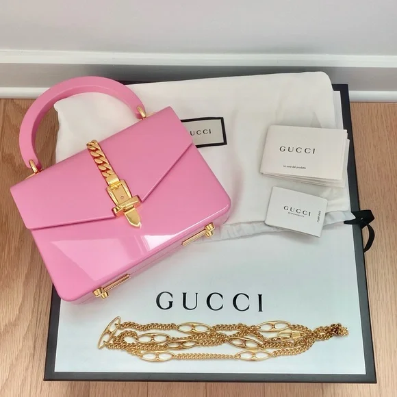 Gucci Limited Edition Sylvie 1969 Plexiglass Mini Bag w/ gold hardware and chain - Picture 3 of 16